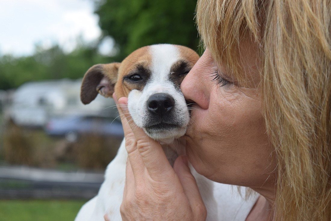 Maverick has found a special friend in Polka Dogz Pet Rescue President Heidi Hardman.