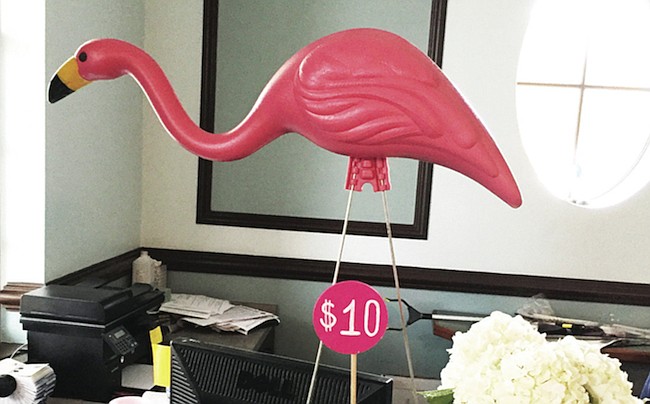 Photo by Erika Spence - A Florida icon, pink flamingo lawn ornaments, are on sale now to support the Florida Hospital for Women Mammography Scholarship Fund, part of the popular "Pink Out Winter Park" initiative.
