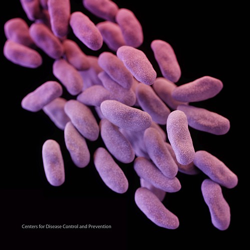 Photo by: CDC - Superbugs are resistant to standard treatment methods, including antibiotics.