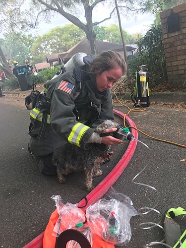 Fire engineer/paramedic Lauren Sojo used a pet oxygen mask on one of the family dogs, which suffered from smoke inhalation.