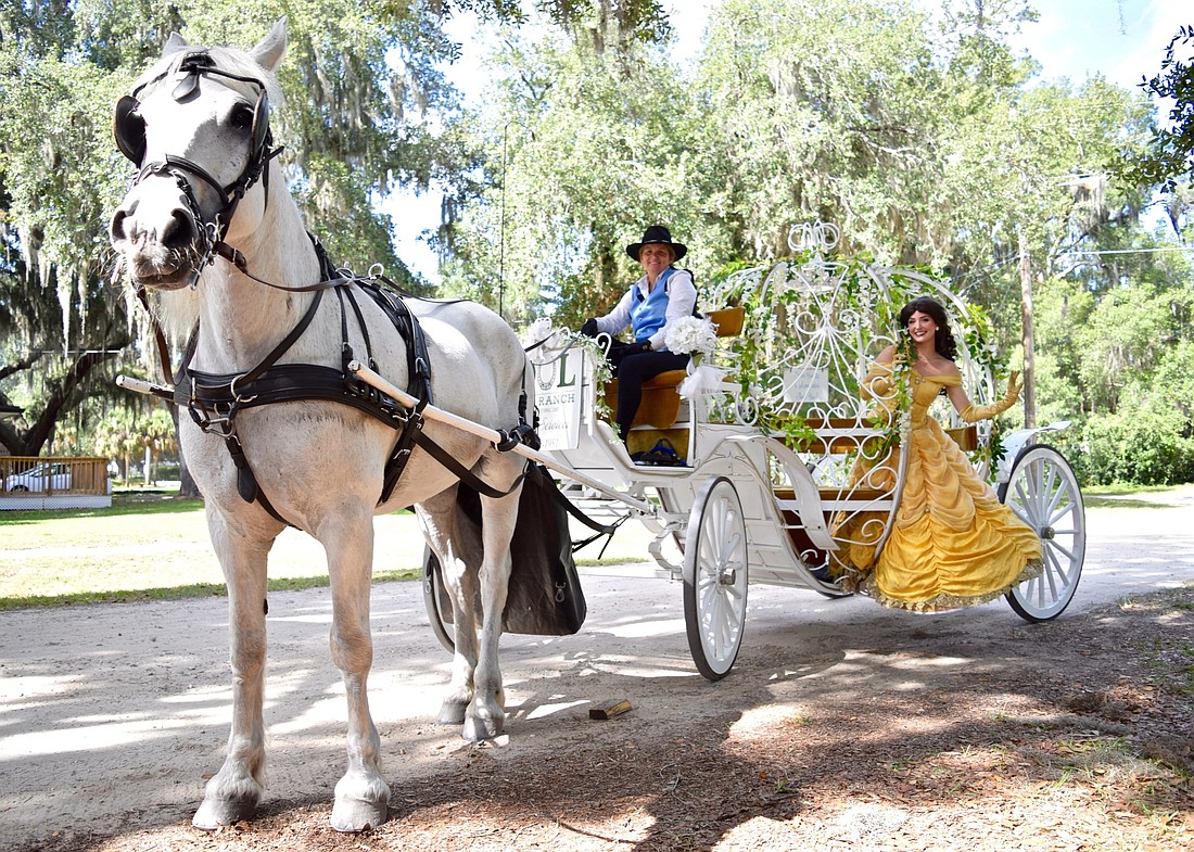 The horse-drawn carriage, driven by SOUL Haven Ranch owner Susan Nastasi, was a magical spectacle with a princess in the back.
