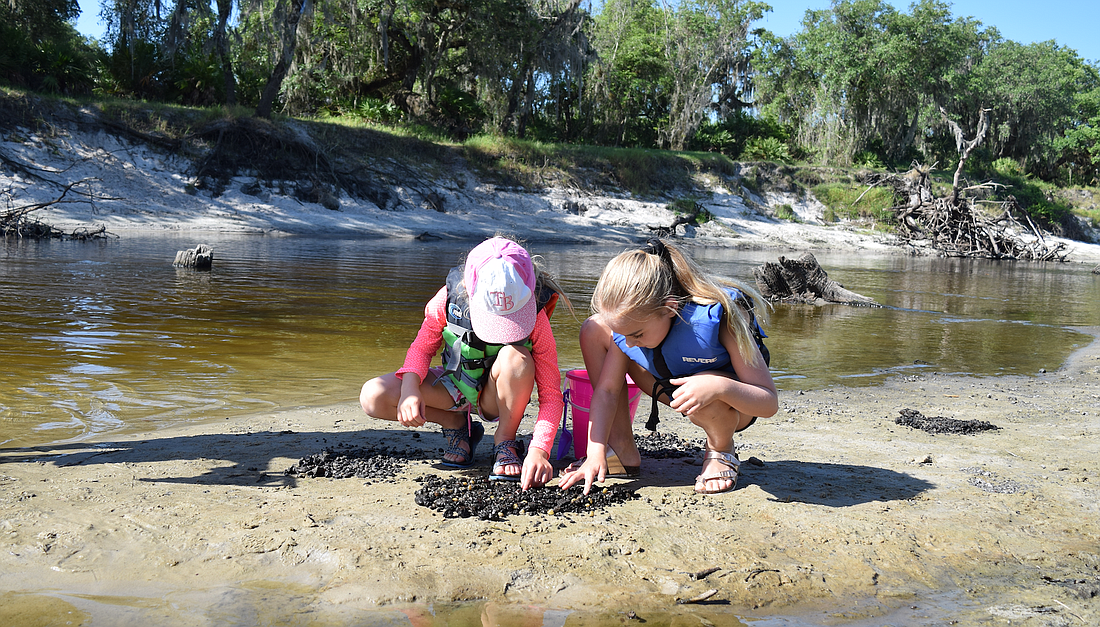 All ages can delight in the hunt for shark teeth and fossils. Find spots that offer a loose graveling bottom,