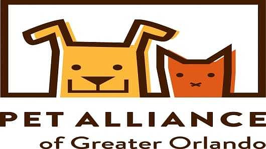Here's what's next for the Pet Alliance of Greater Orlando | West Orange  Times & Observer