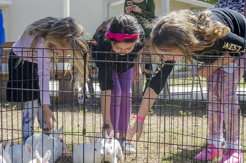 Theadora Seguso, Olivia Schaedler-Luera and Alohi Glover reach down to pet the chickens.