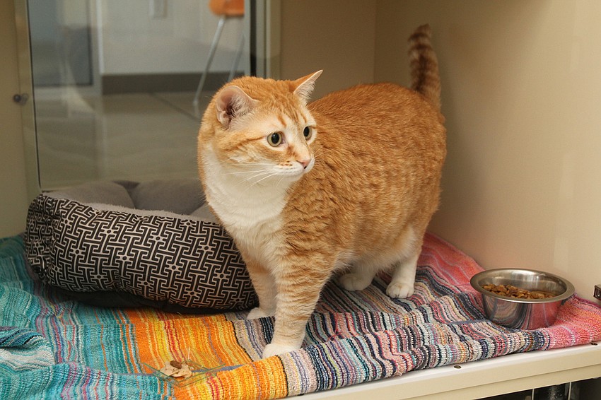 FEBRUARY: Tessa was surprised to be given a snack.