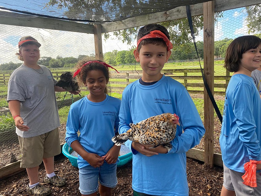 Gary Wood, a rising sixth grader, Soleil Williams, a rising third grader and Calder Duff, a rising fifth grader, have the opportunity to hold chickens.