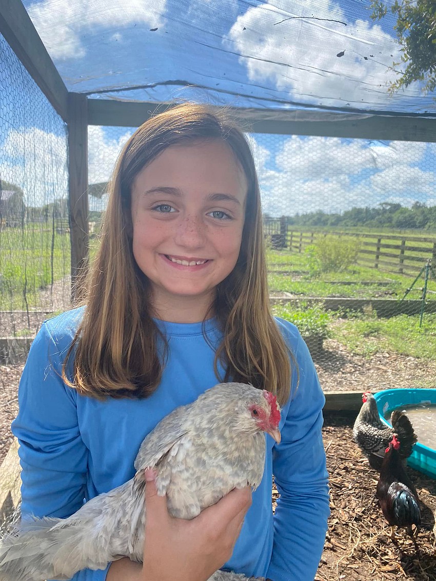 Ava Clementi, a rising fourth grader, gently holds onto a chicken. She learned about chickens, cows and pigs during her time at Little Ranchers. Courtesy photo.