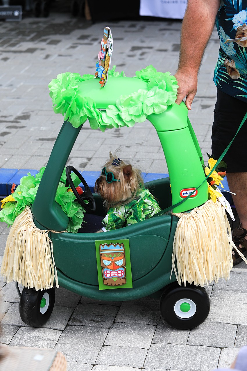 Bromley cruises on through.