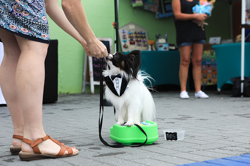 Caspian plays the piano for a treat.