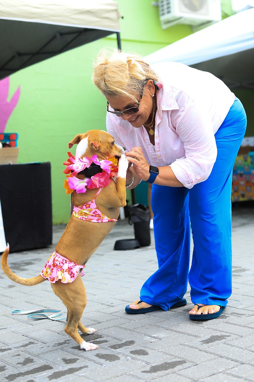 Amanda Munro gives pets to Elijah the dog.