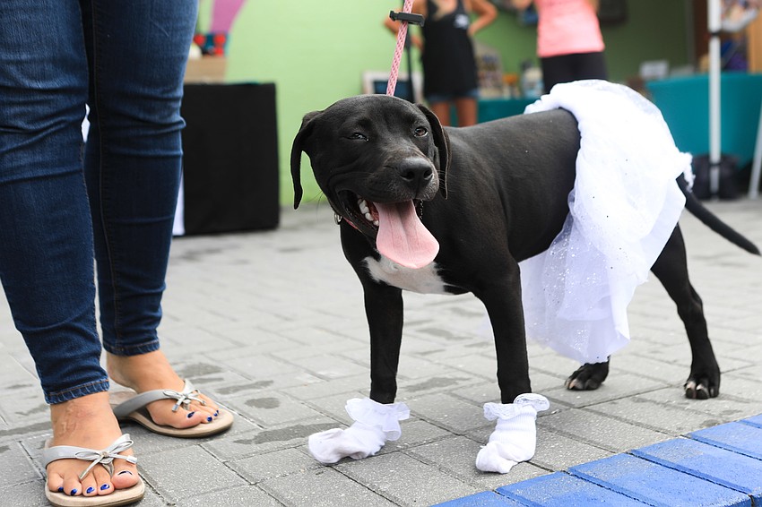 Mary Kate stops to pose.