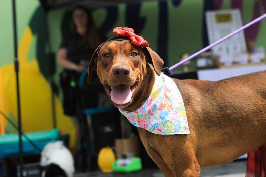 Alicia shows off her bow.