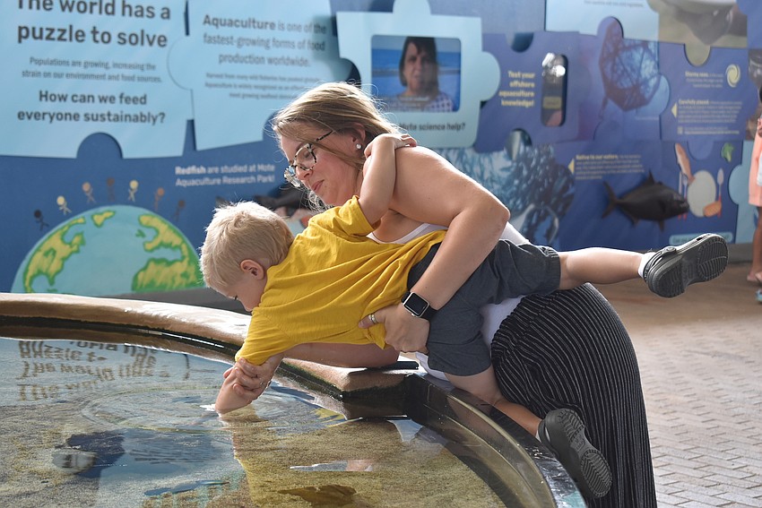Shaina and Jaxton Johnson check out the touch tank.
