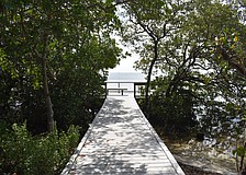 The observation deck at Joan Durante Park was rebuilt with the boardwalk and overlooks Sarasota Bay.
