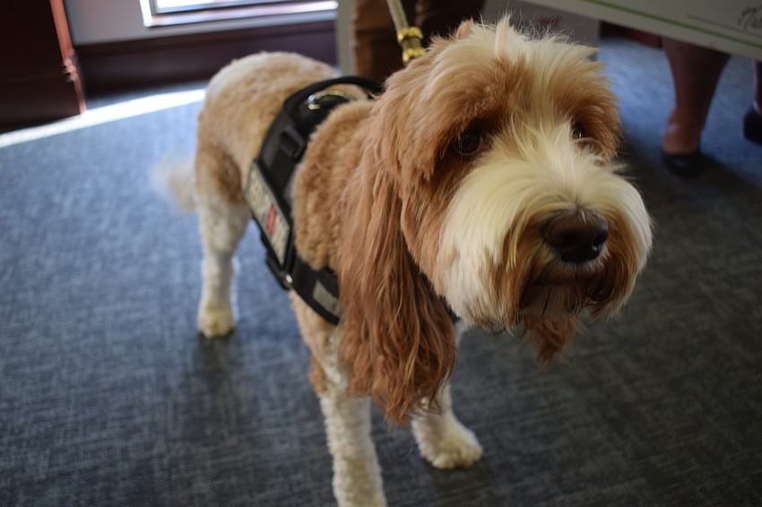 Resilient Retreat brought some canine help to collect its grant of $5,000.