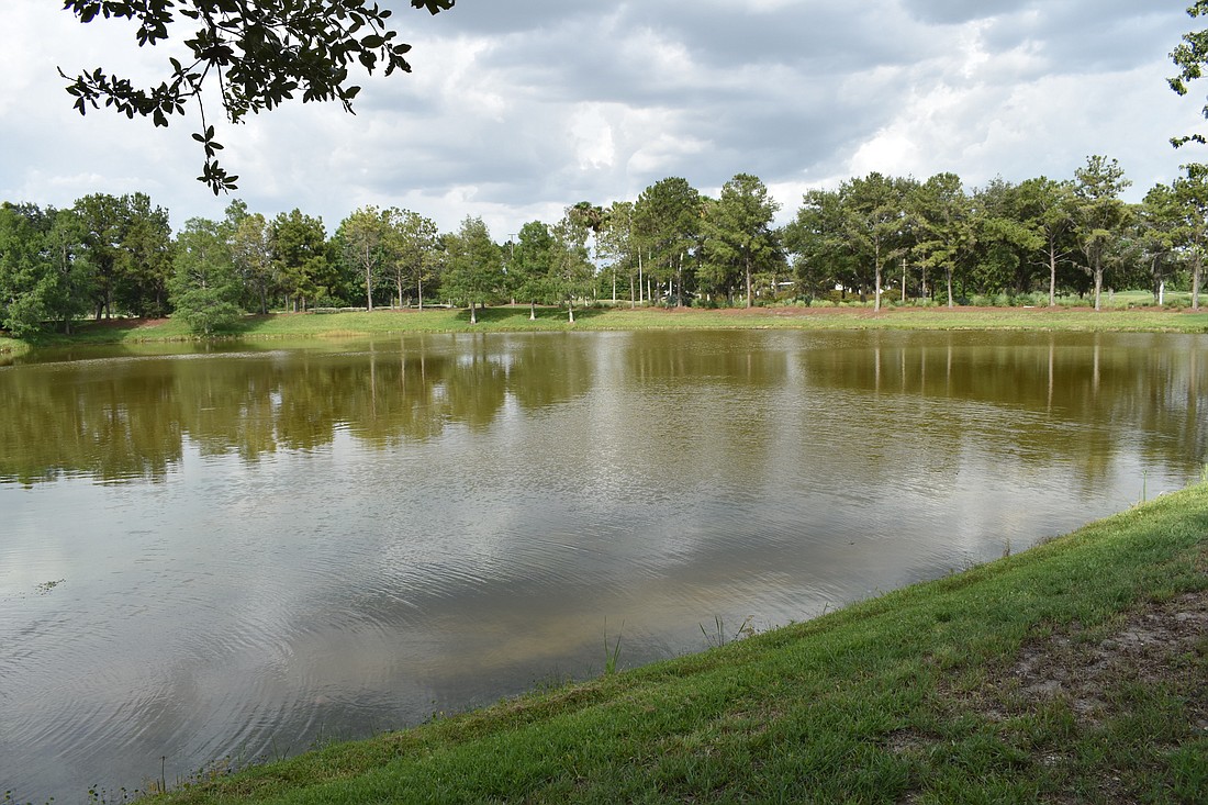 Some ponds in the Country Club have been showing signs of " brownification."