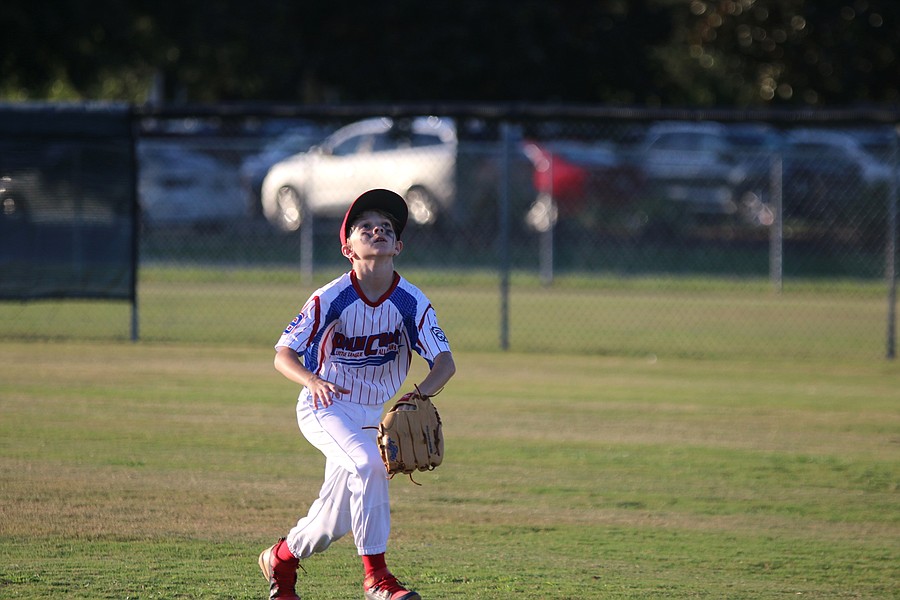 Palm Coast Little League softball on the rise, Observer Local News