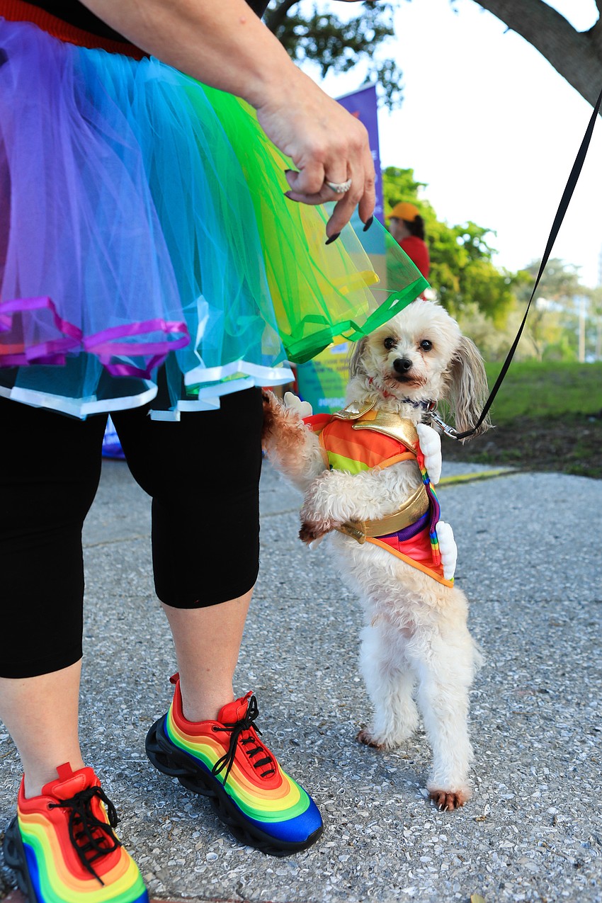 Leona Collesano gave pets to Matty