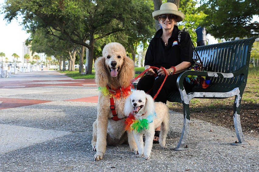 Judy Dixon relaxes in the shade with Pepper and Sandy.