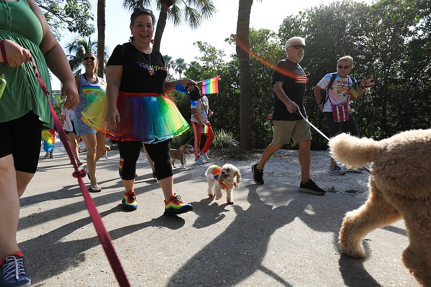 Matty strolled with his owner.