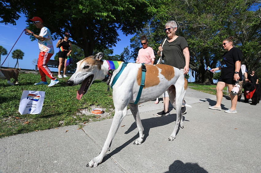 Dogs of all shapes and sizes joined in on the parade.