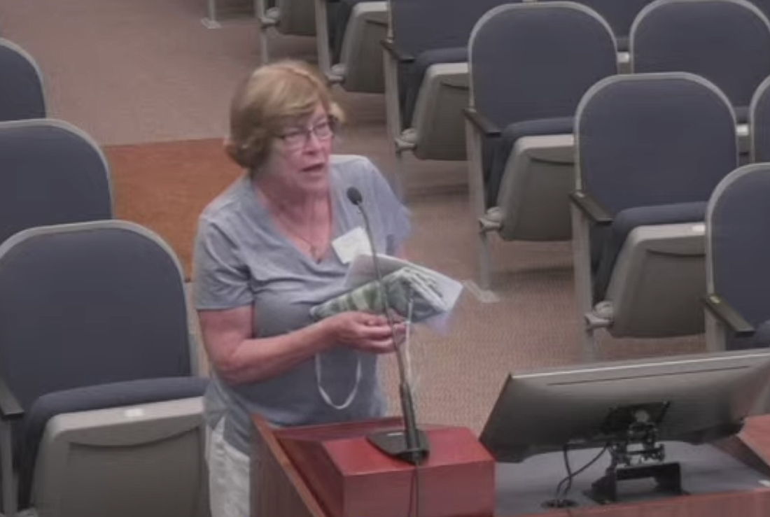 Resident Sallee Arnoff, who has been a leader in voicing residents' concerns about the Radiance development, spoke at the June 20 meeting.