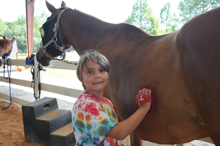 Lucius Rowell, who is 9, grooms Cherokee before he can ride. Rowell says riding is his favorite part of the camp.