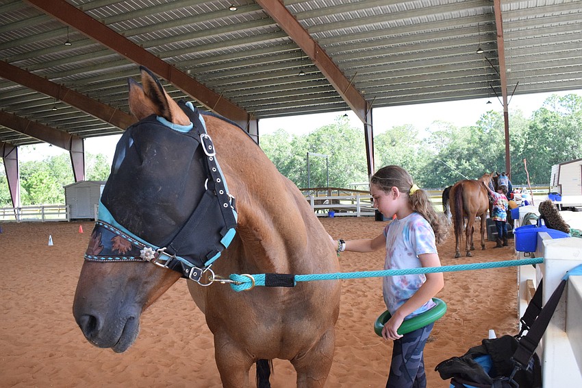 Mila Reinisch, who is 10 years old, grooms Gypsy before riding.