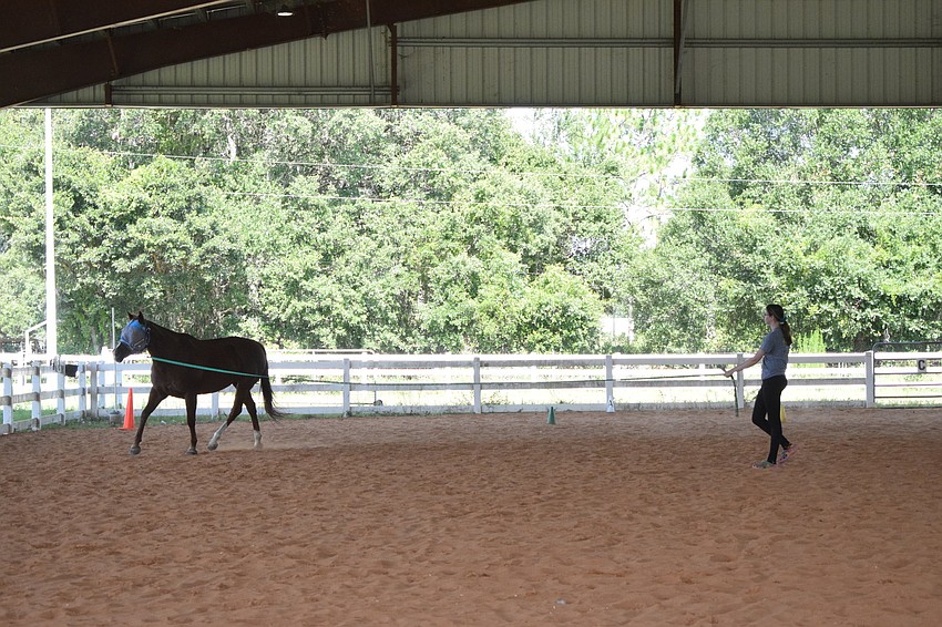 Lily Moore, a camp counselor, works one of the horses  through lunging.