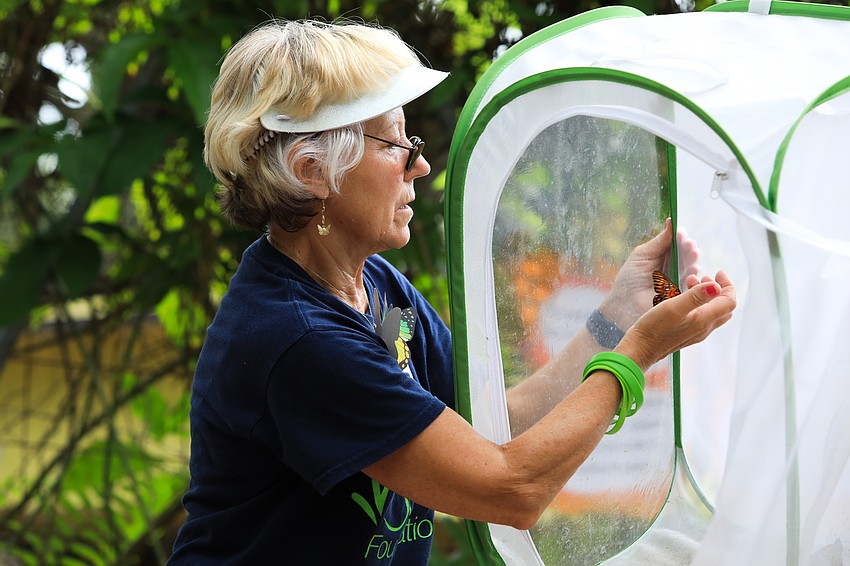 Ruth Frushour with the St. Clair Butterfly Foundation release a number of monarch butterflies into the sky.