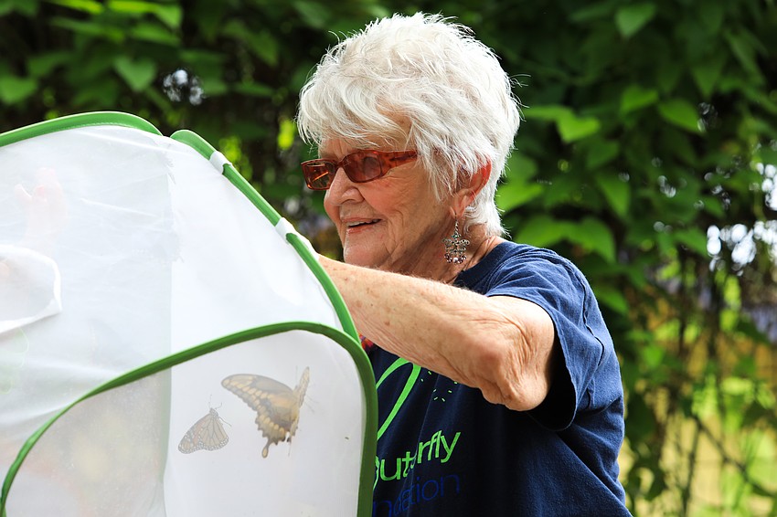 Aura Rasmussen with the St. Clair Butterfly Foundation release a number of monarch butterflies into the sky.
