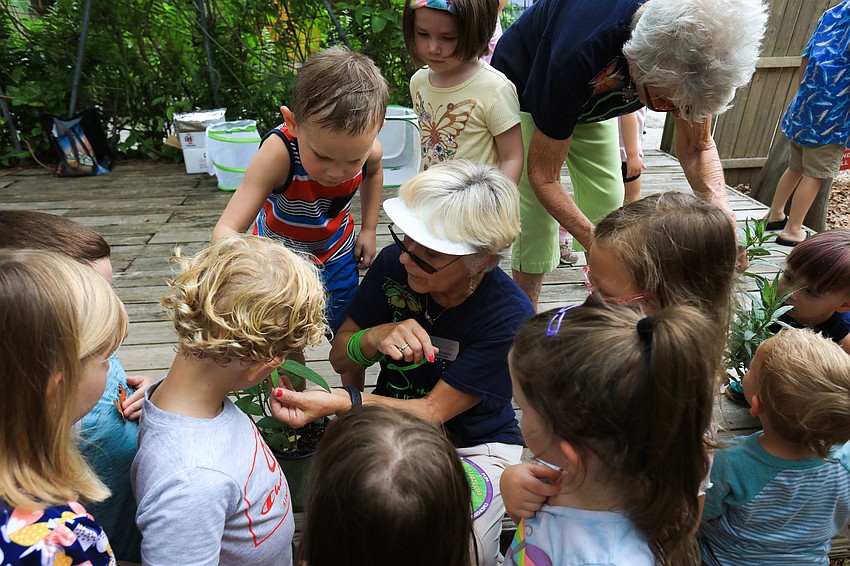 Ruth Frushour with the St. Clair Butterfly Foundation teach children about caterpillars.