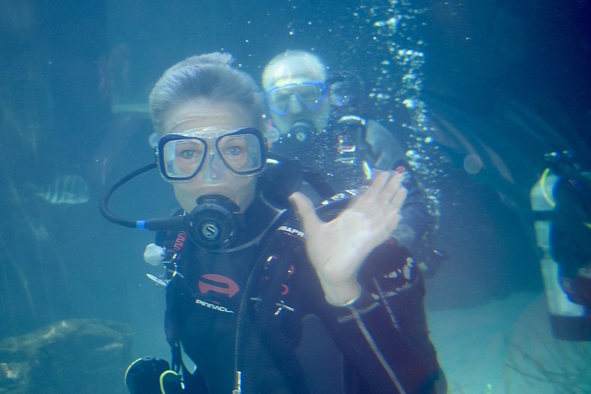 Rona VanAmburg and Mark Fishman scuba dive in Mote's Shark Zone.