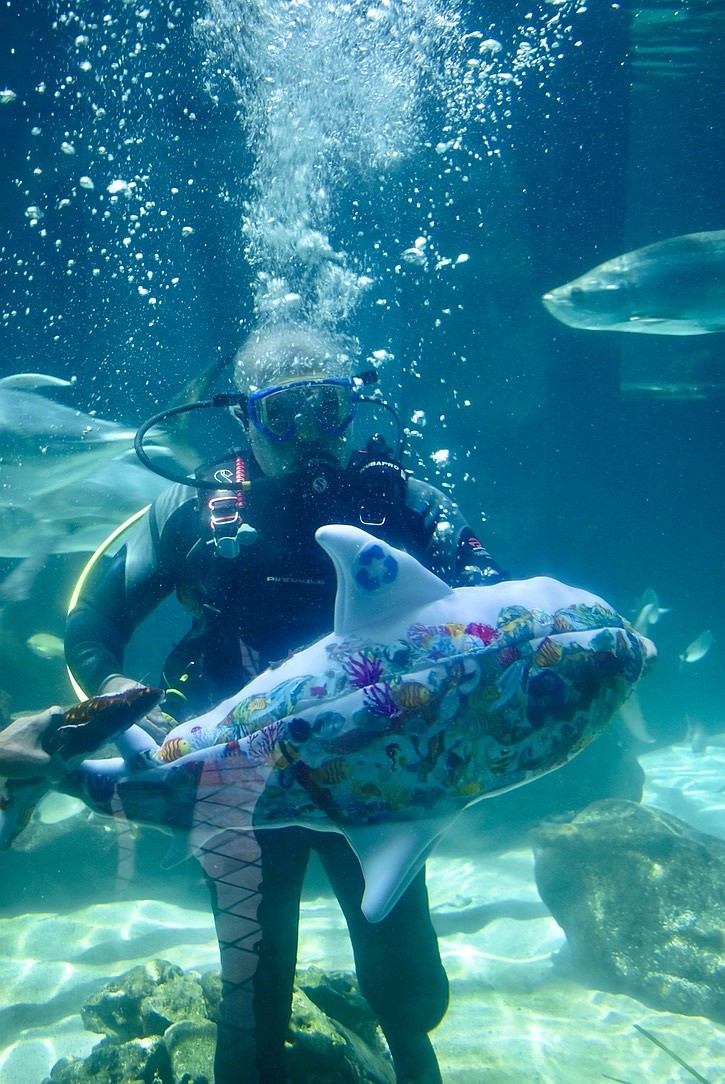 Mark Fishman shows off Arty's good side.