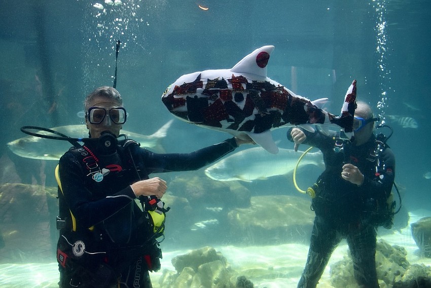 Rona VanAmburg and Mark Fishman give the thumbs down to pollution.