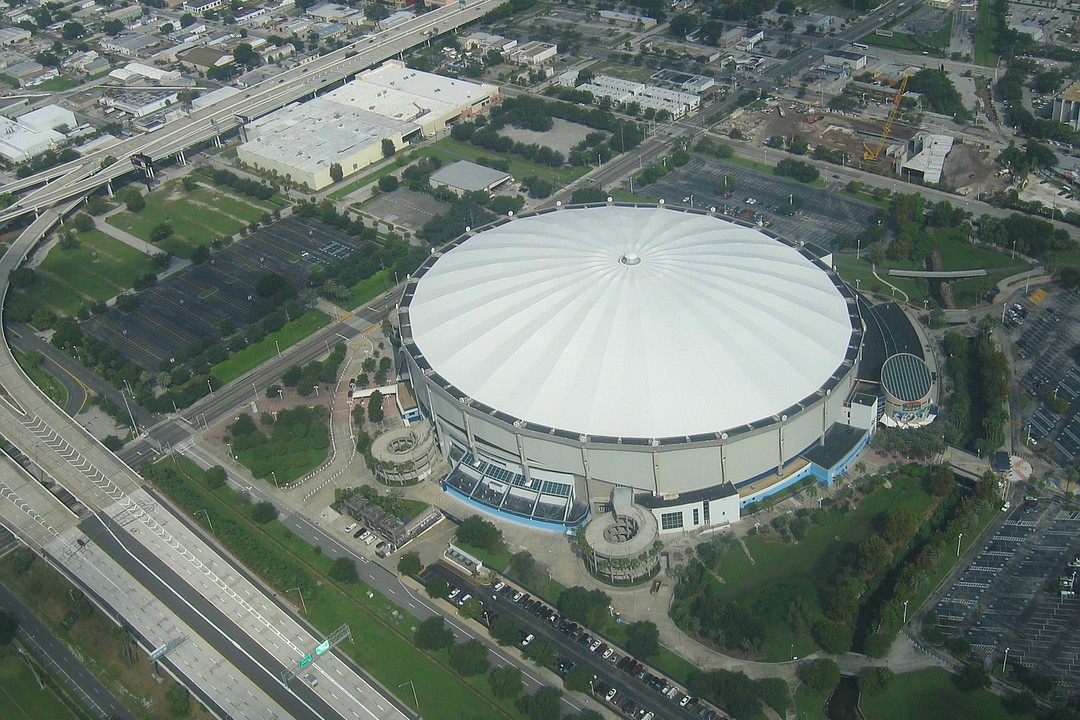 Tampa Bay Rays first baseman - Suncoast Credit Union