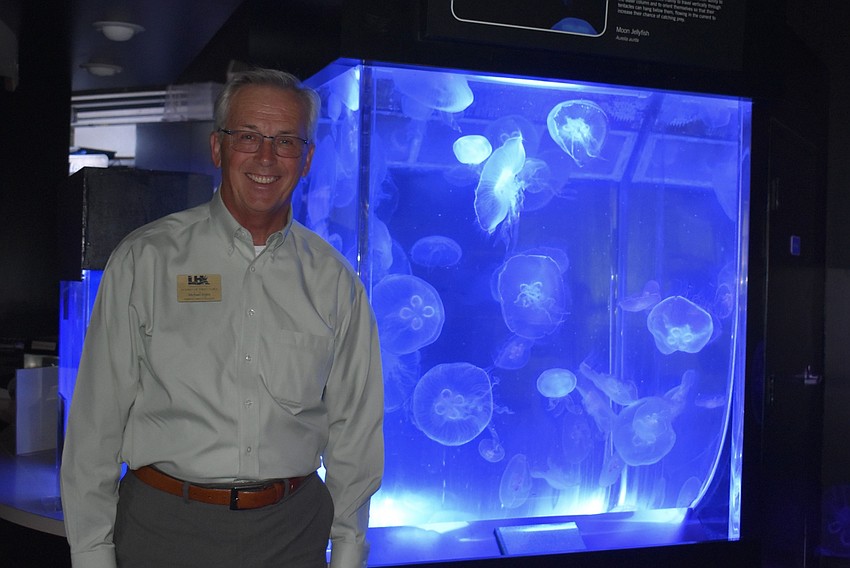 Michael Vejins stands in front of the jellyfish tank.