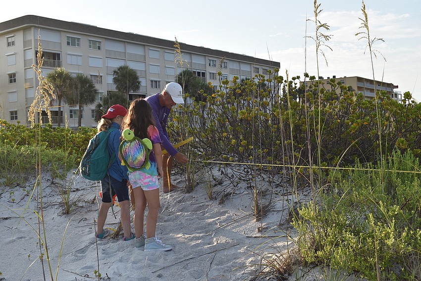 Kayla Farrell and Cami Shapiro help Tim Thurman take measurements to properly stake a turtle nest.