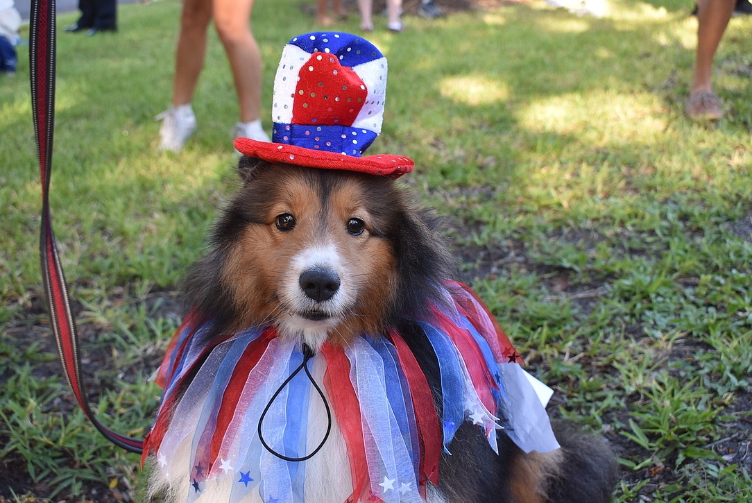 Dogs dress their best for the 2022 Hot Diggity Dog Parade and Costume Contest.