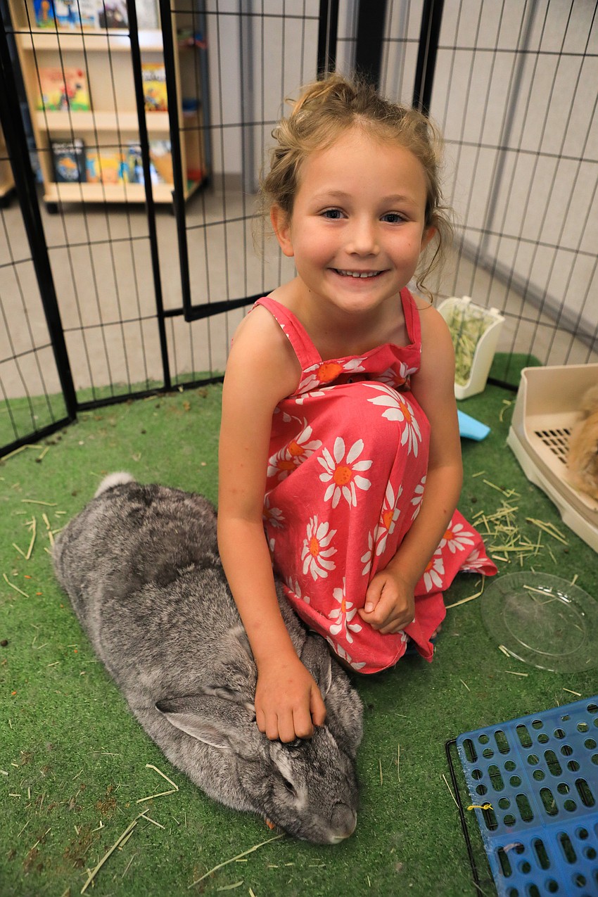 Lana Bernard pets Giro the bunny.