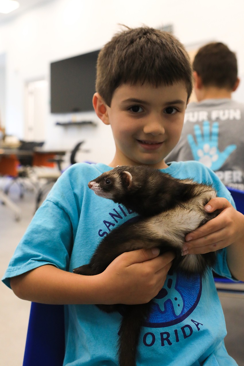 Noah Greber learns how to hold Maci the ferret.