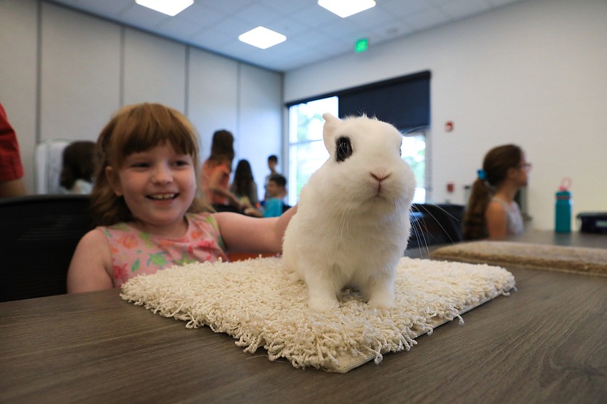 Kira Stoddard is overjoyed with her visiting rabbit.