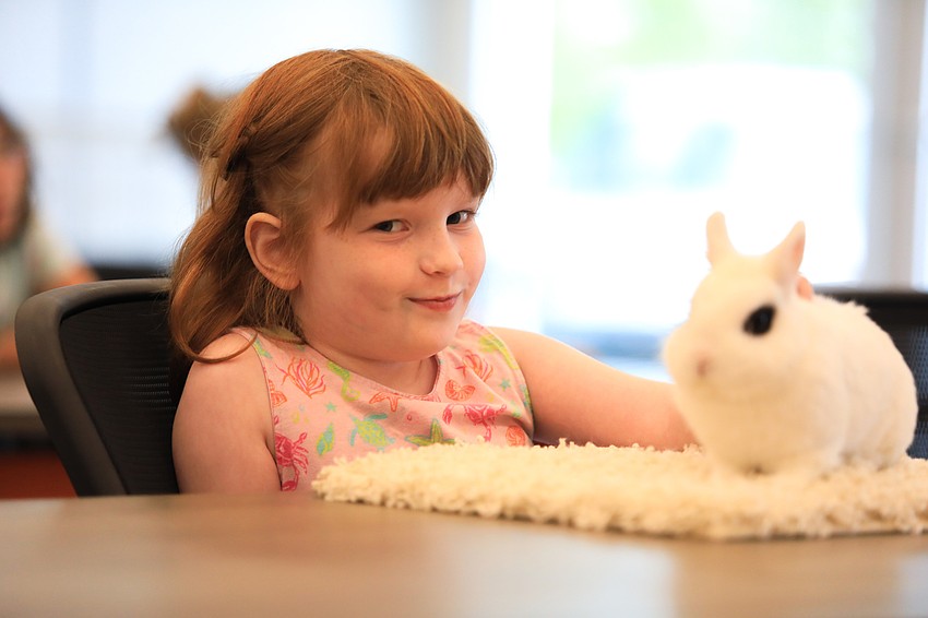 Kira Stoddard is overjoyed with her visiting rabbit.