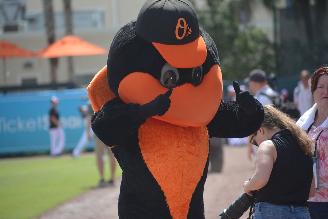 The Orioles, represented by the mascot the Oriole Bird, have been in a six-year valley in terms of record, but the 2022 team is turning things around. (File photo)