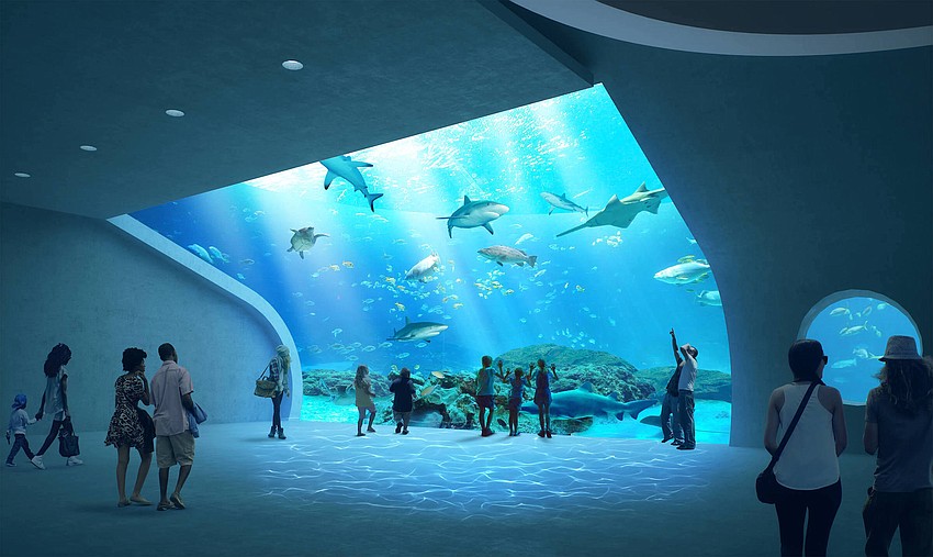 New Mote aquarium construction goes vertical for fall 2024 Observer
