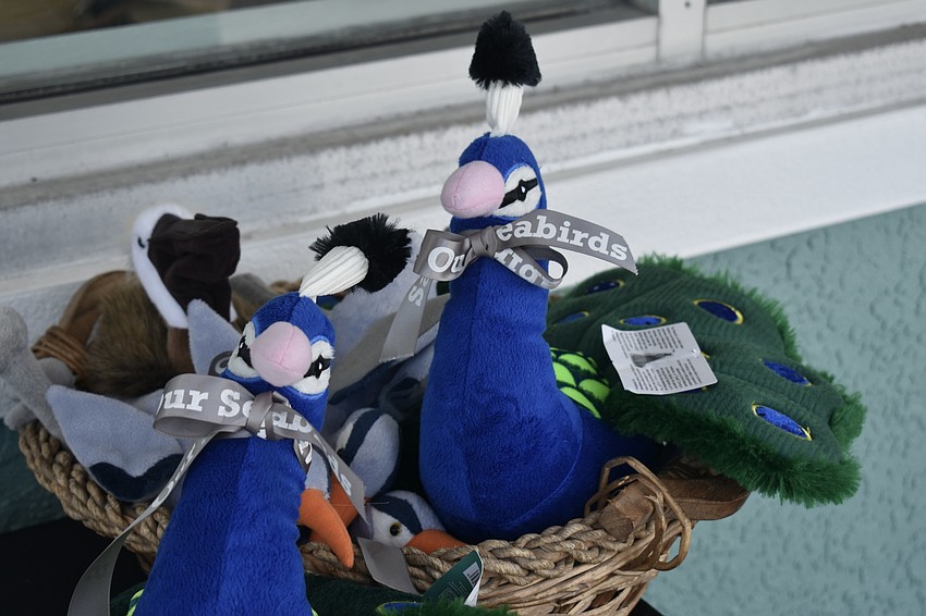 Save Our Seabirds is July's charity of the month.