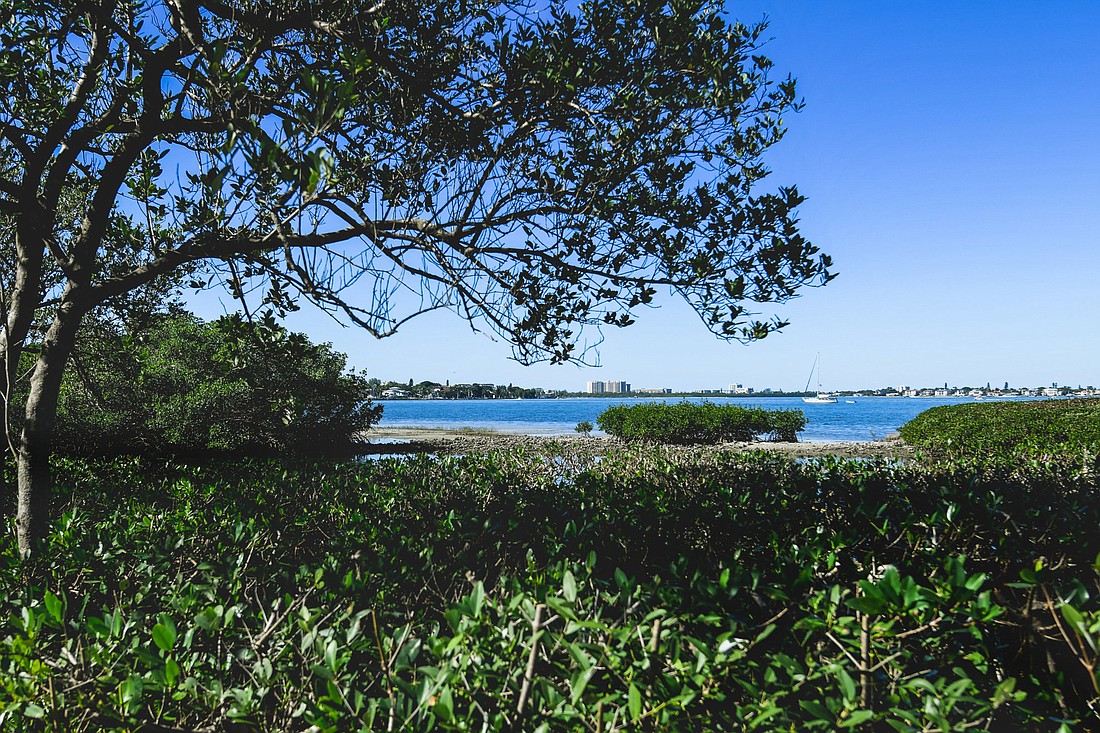 The Shoreland Woods property features oaks, orchids and bayfront views. (Courtesy photo)