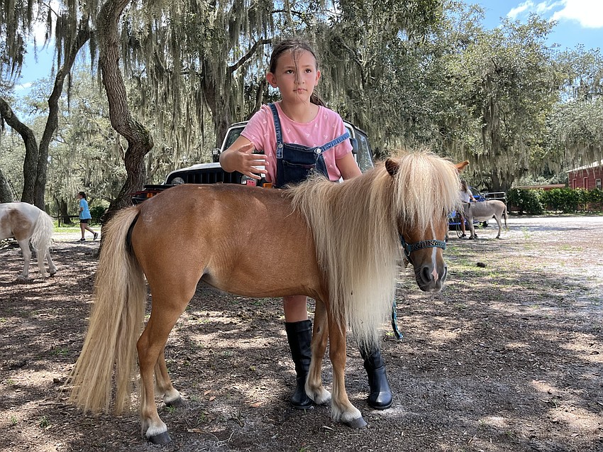 Lexi Truxton, who is 8, brushes some dirt off Summer's mane. Truxton says Summer likes to run so do it together during the camp.