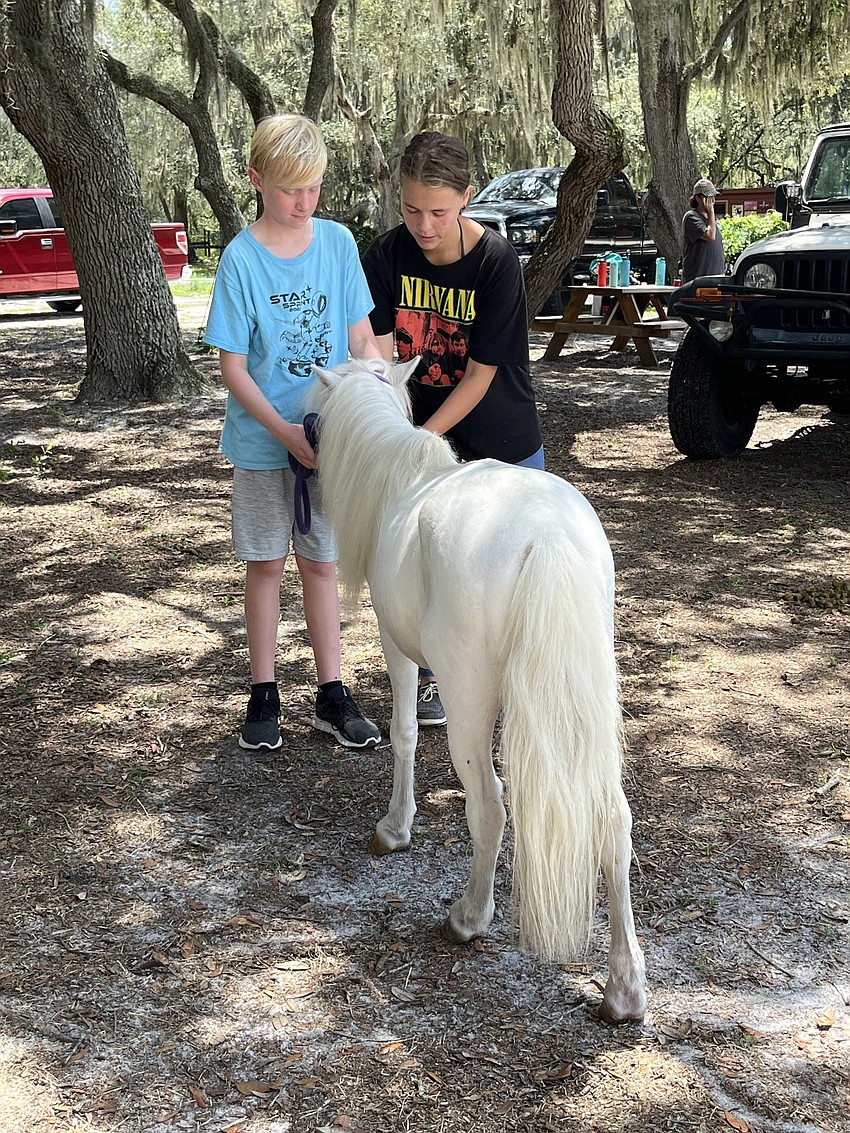 Cole Schroeter, who is 10, learns how to back up his horse, Prince, with the help of Jessica Davis, who is a camp counselor.
