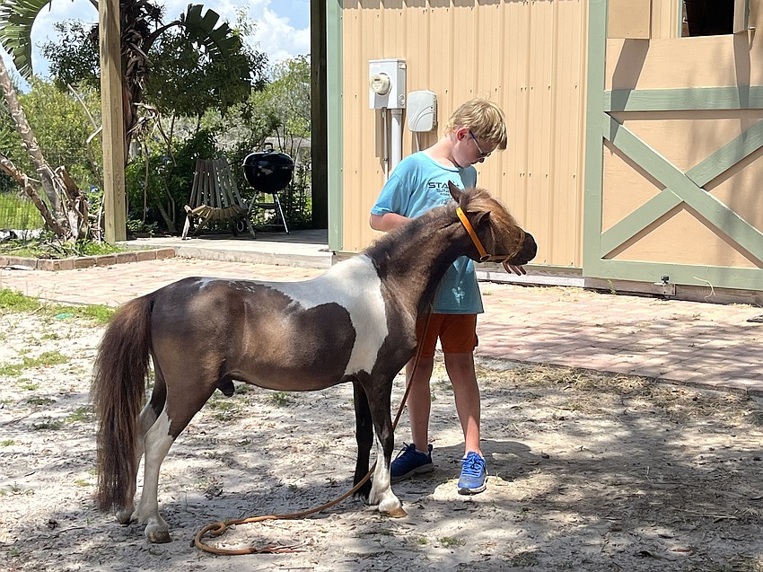 Ben Schroeter, who is 8, feeds Rowdy a treat after he properly does a show stance.